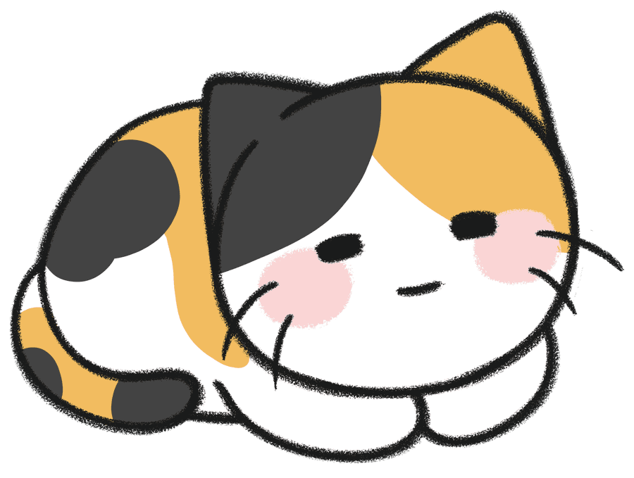 5KG 이상 고양이