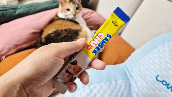 참치덕후집사 후기 사진